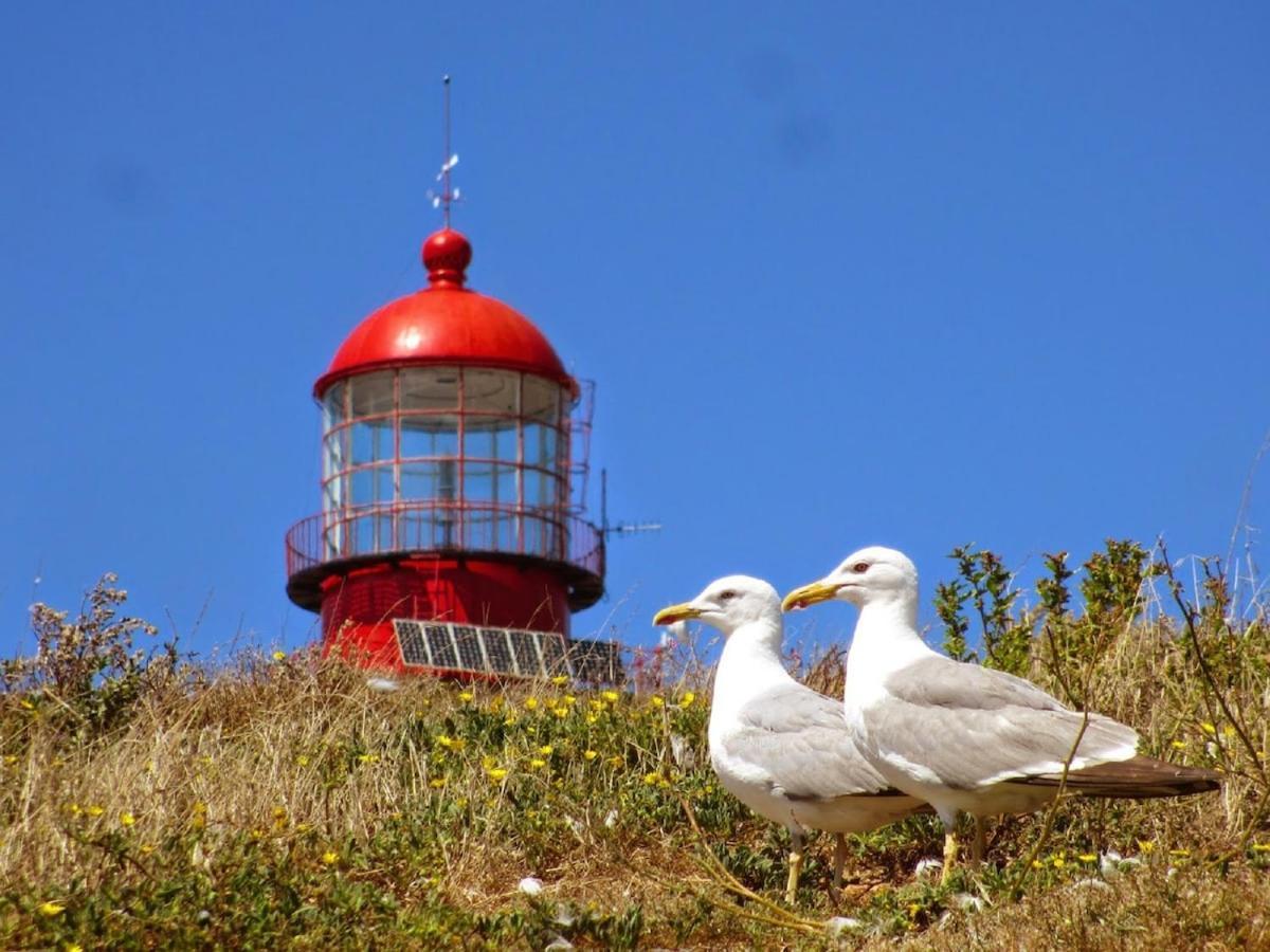 Best Houses 22- Great Location In Baleal! Peniche Exterior foto